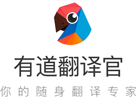 有道翻译历史记录管理技巧，有道翻译历史记录如何导出来
