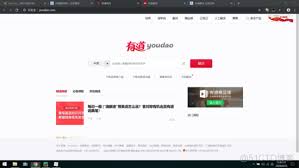 有道翻译实时保存功能安全说明，有道翻译翻译记录