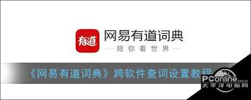 有道翻译文档翻译后的编辑功能，有道文档翻译产品哪些功能体验不够好,需要改进?