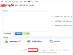 有道翻译官网登录与账户同步指南，有道翻译 官网